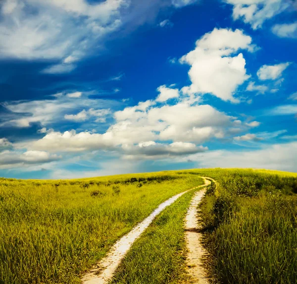 Country Road Krásná Letní Pole Venkovská Krajina — Stock fotografie