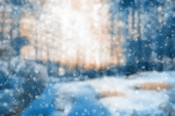 Blurred Winter Forest Falling Snow Bokeh — Fotografia de Stock