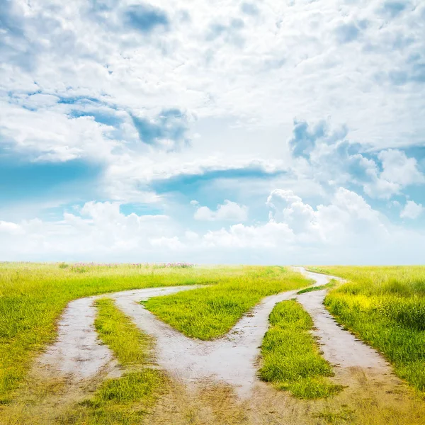 Camino Del Campo Hermosos Campos Verano Paisaje Rural — Foto de Stock