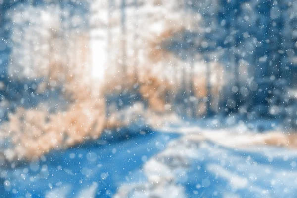 Dimmig Vinterskog Fallande Snöbokeh — Stockfoto