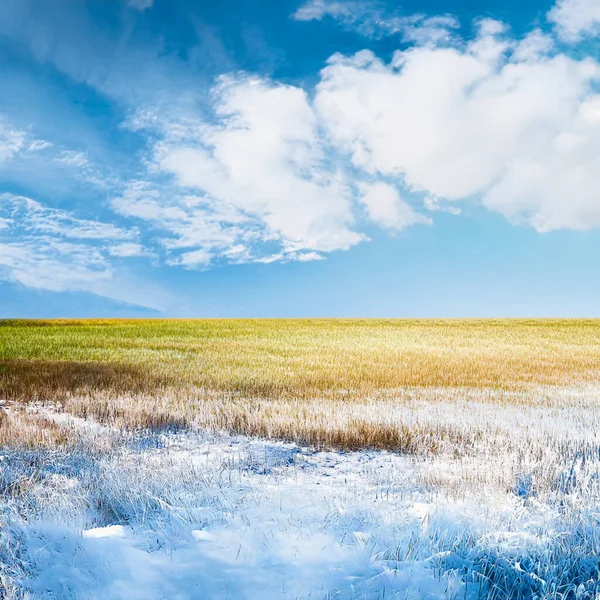 Krásná Zamrzlá Pole Zimní Krajina — Stock fotografie