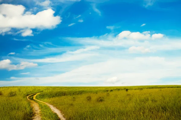 Strada Campagna Bellissimi Campi Estivi Paesaggio Rurale — Foto Stock