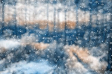  Bulanık kış ormanı, düşen kar bokeh