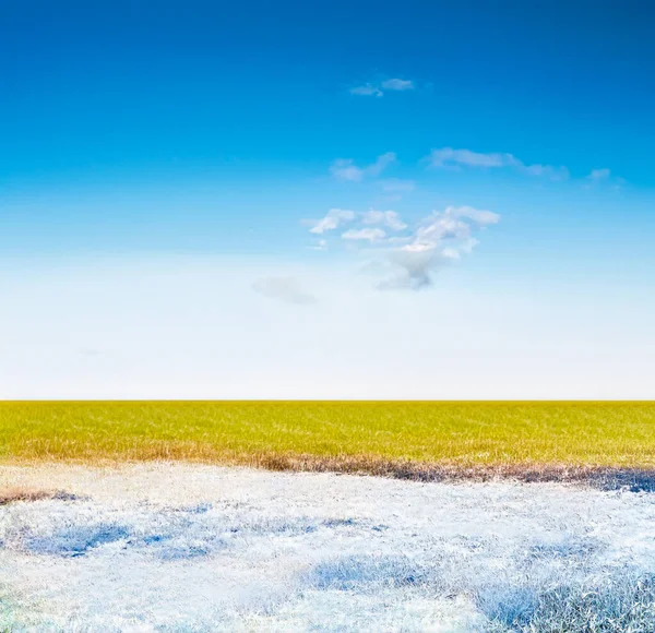 Красивые Замерзшие Поля Зимний Пейзаж — стоковое фото