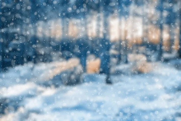 Blurred Winter Forest Falling Snow Bokeh — Stock Photo, Image