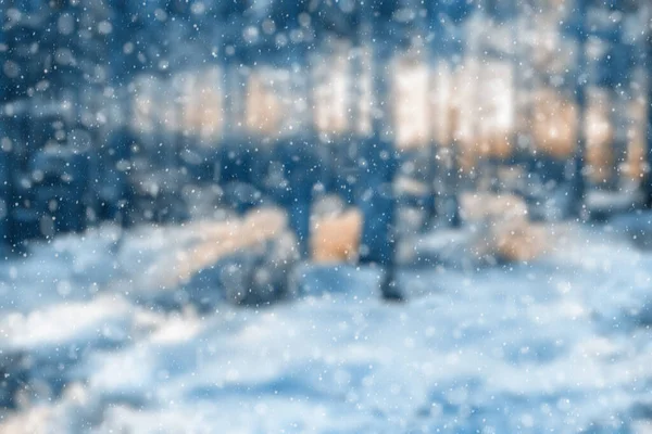 雪の降る冬の森ボケ — ストック写真