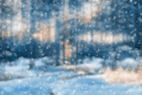 Blurred Winter Forest Falling Snow Bokeh — Stock Photo, Image