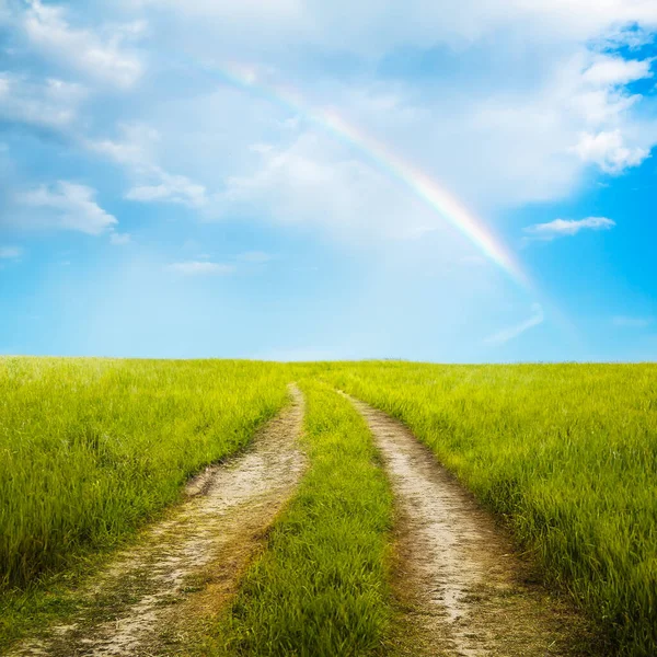 Country Road Beautiful Summer Fields Rural Landscape — Stock Photo, Image