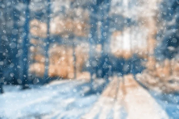 Dimmig Vinterskog Fallande Snöbokeh — Stockfoto