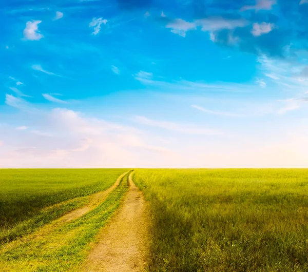 Landweg Mooie Zomervelden Landelijk Landschap — Stockfoto