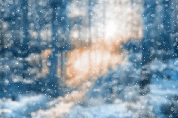 Dimmig Vinterskog Fallande Snöbokeh — Stockfoto