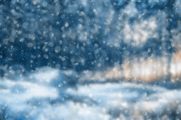 雪の降る冬の森ボケ — ストック写真