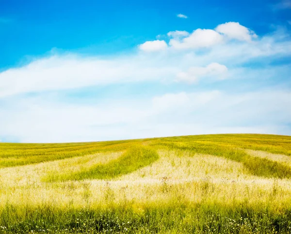 Vackra Sommarfält Landsbygdslandskap — Stockfoto