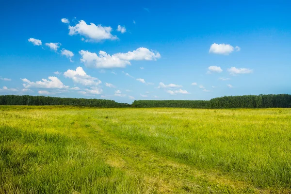 Vackra Sommarfält Landsbygdslandskap — Stockfoto