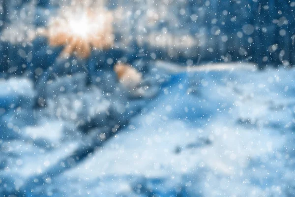 Blurred Winter Forest Falling Snow Bokeh — Fotografia de Stock