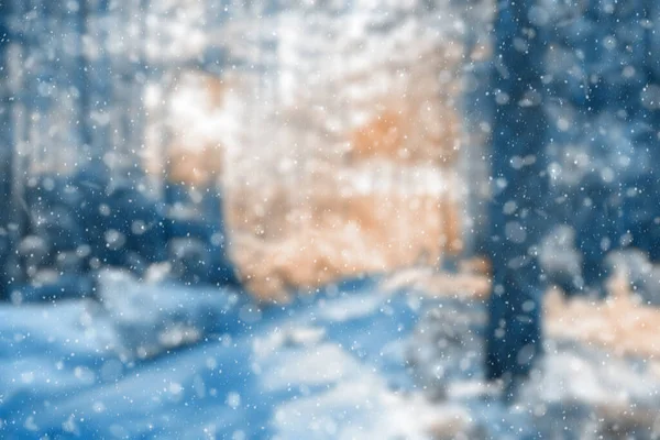 Blurred Winter Forest Falling Snow Bokeh — 图库照片