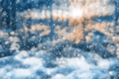  Bulanık kış ormanı, düşen kar bokeh