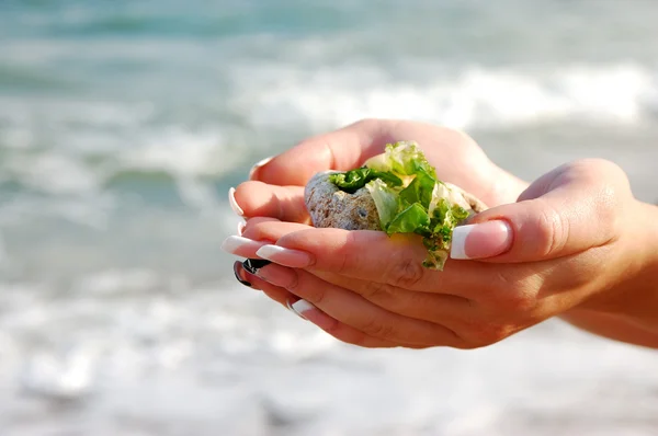 Female hands with sea stones — Stock Photo, Image