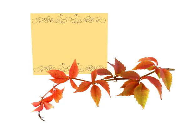 Аutumn branch with yellow leaves and a note — Stock Photo, Image