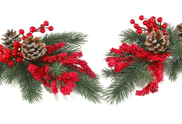 Christmas tree branch with red berries — Stock Photo, Image