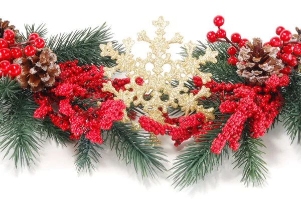 Two branches with Christmas snowflake — Stock Photo, Image