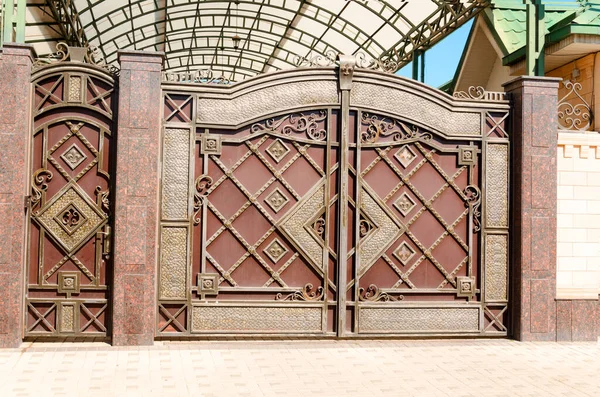 Puerta Hierro Con Una Puerta Con Elemento Decorativo —  Fotos de Stock