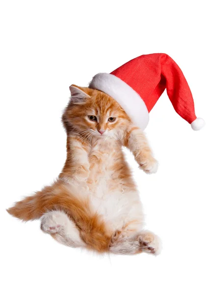 Liten kattunge i en santa hatt. Stockfoto