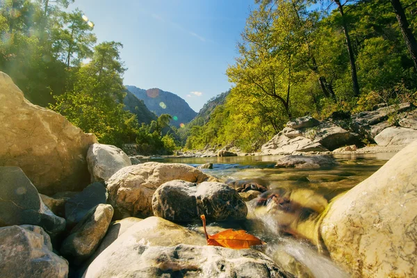 Gebirgsbach — Stockfoto