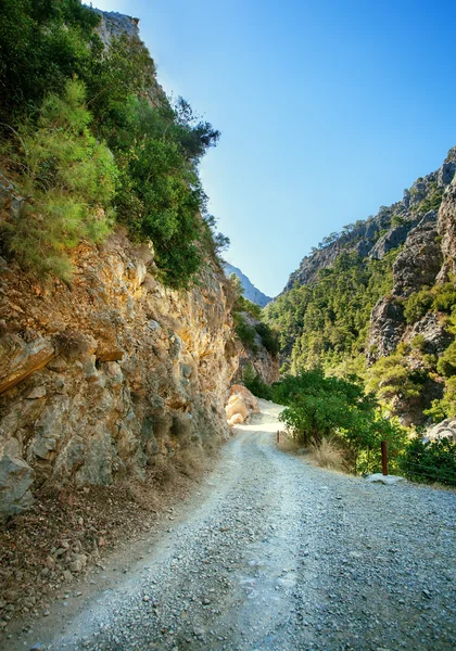 Bergweg — Stockfoto