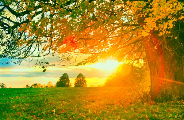 Rural autumn landscape — Stock Photo, Image