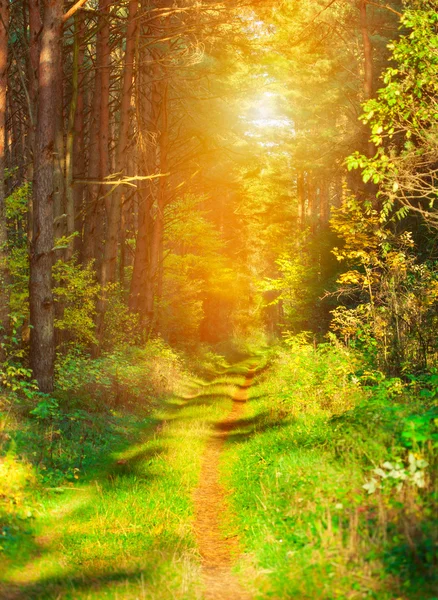 Fußweg — Stockfoto