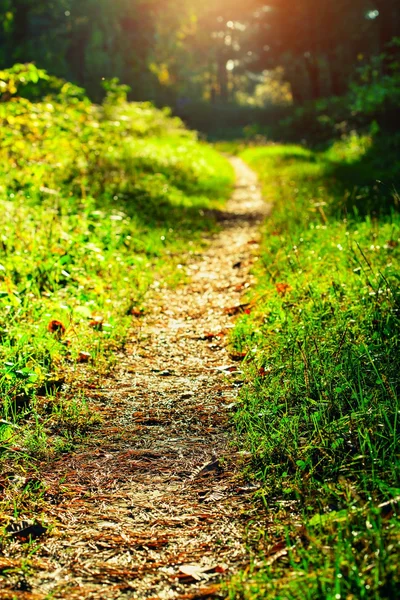 Fußweg — Stockfoto