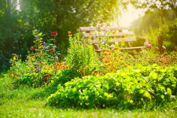 Flower garden — Stock Photo, Image