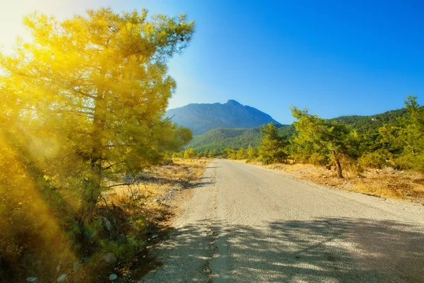 Strada di montagna — Foto Stock