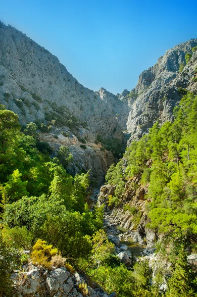 Berglandschap — Stockfoto