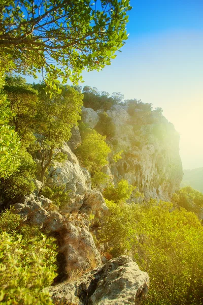 Paisagem nas montanhas — Fotografia de Stock