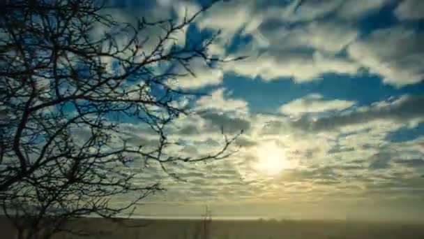 Pleine lune et nuages. — Video