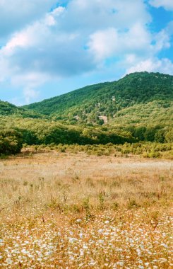 güzel dağ manzarası