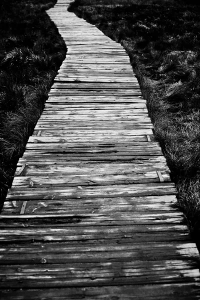 Wooden road — Stock Photo, Image