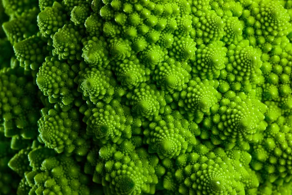 Romanesco broccoli cabbage marco — Stock Photo, Image