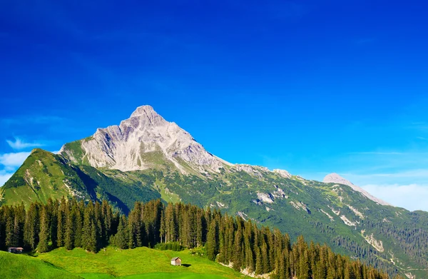 Bergen van de Alpen — Stockfoto