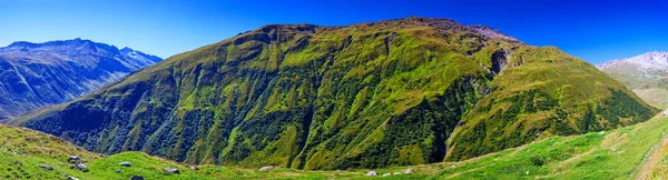 Montagne des Alpes — Photo