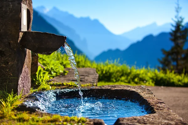 Water spring — Stock Photo, Image