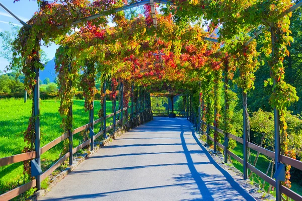Beautiful walkway — Stock Photo, Image