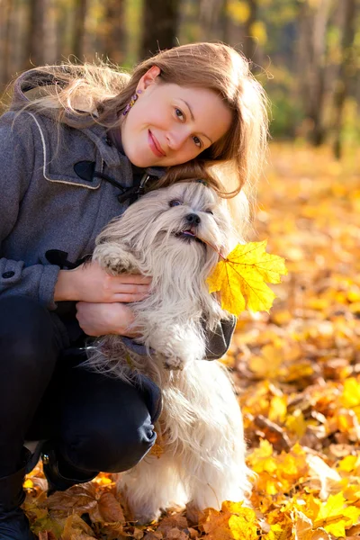 犬と女 — ストック写真