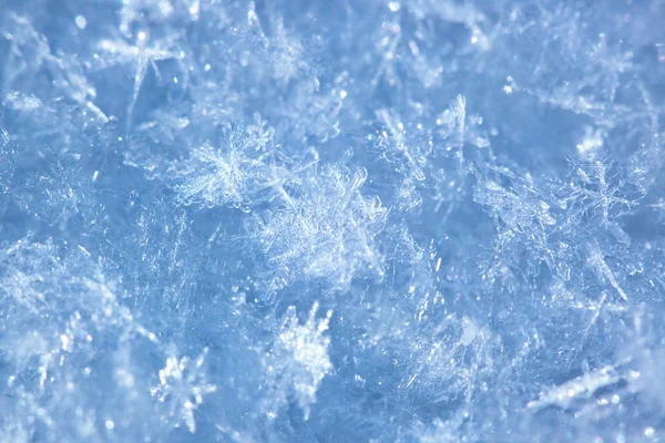 Flocos de neve — Fotografia de Stock