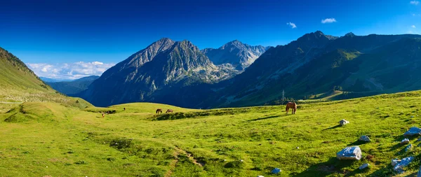 Pyreneeën — Stockfoto