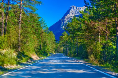 otomobil yol
