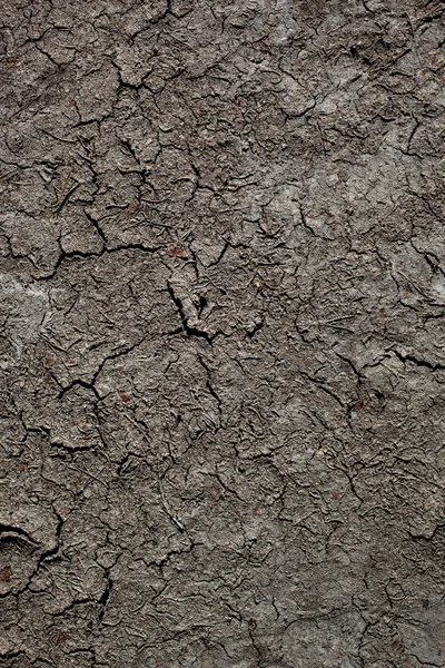 Tierra agrietada — Foto de Stock