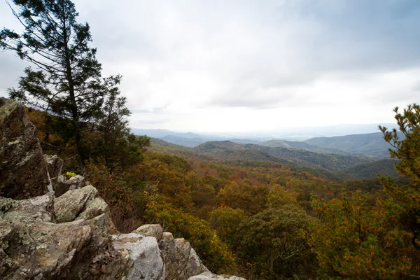 Autumn landscape Dramatic colors — Stock Photo, Image